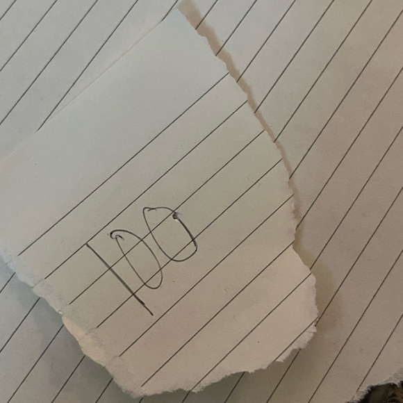 NWT Agnes B. paris 100% Linen Burnt Orange Long Sleeve Dress 10 US/ 42 EU - Picture 10 of 10